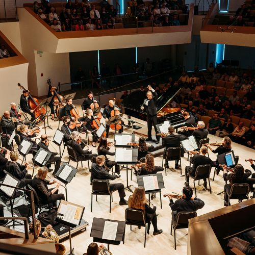 Bonafidephoto Paco Discover Image 8