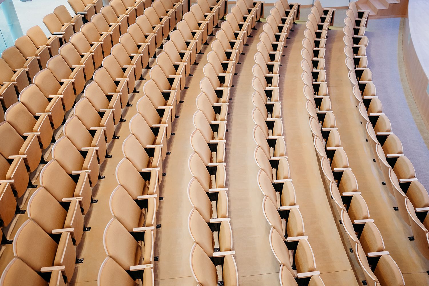 Bonafidephoto Paco Discover Image 13